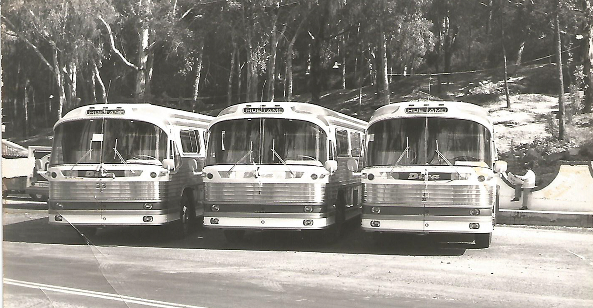 Autobus de Linea de Oro